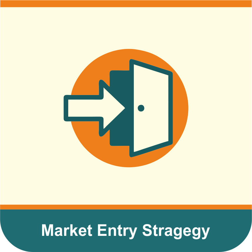 Market Entry Strategy